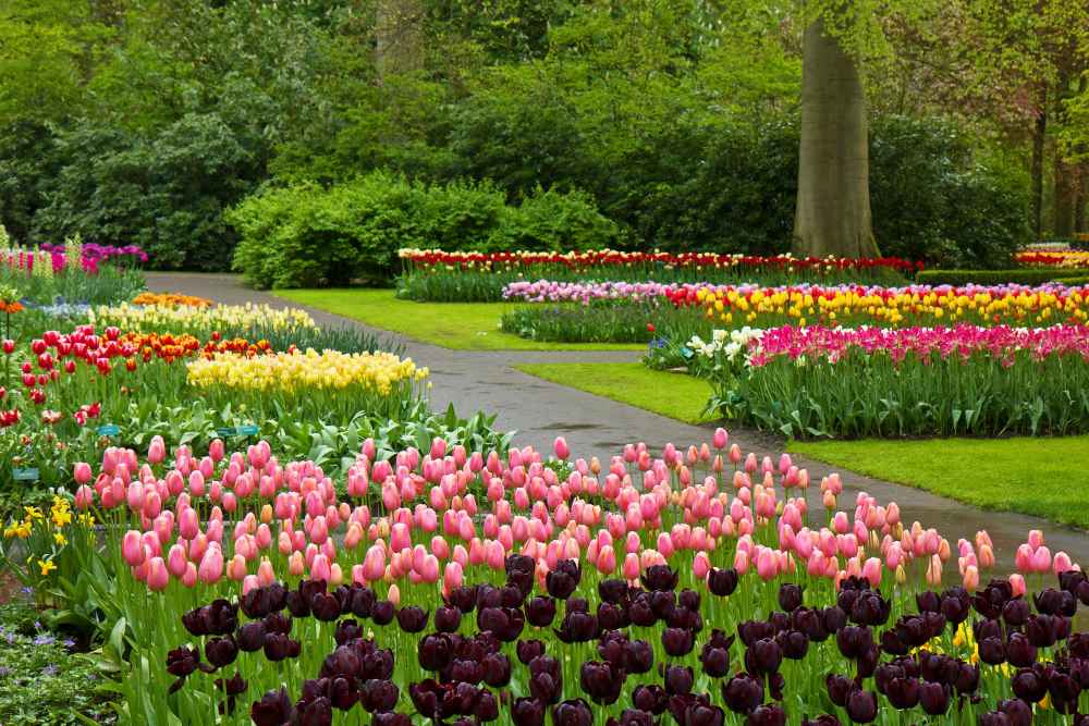 exploring amsterdam parks and ending day deliciously