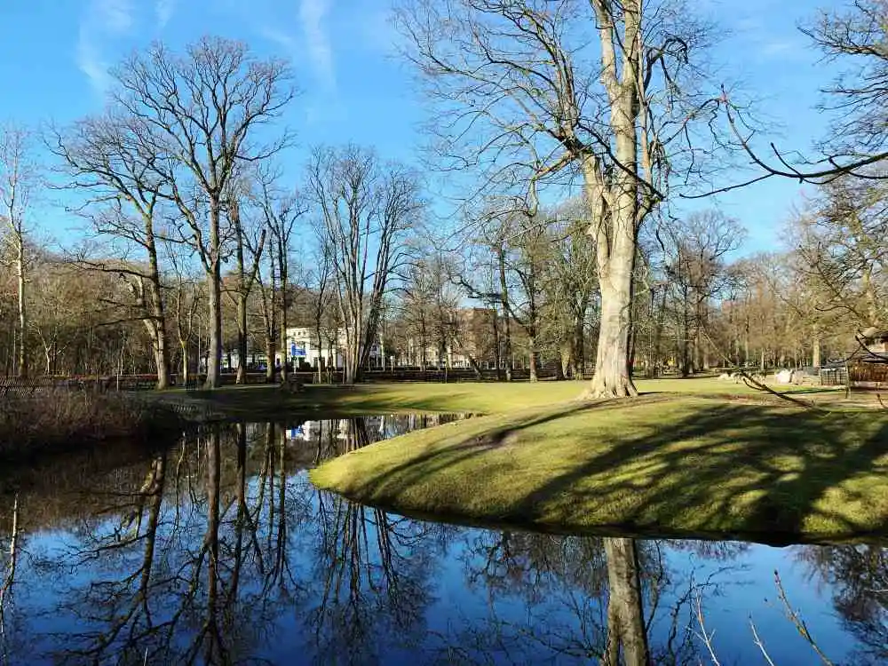 Vondelpark Pond Area